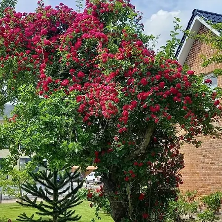Vor Den Toren Luebecks Appartement Herrnburg