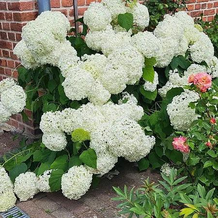 Appartement Vor Den Toren Luebecks Herrnburg
